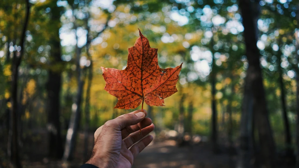 Indigenous-Owned Businesses in Canada: An Immigrant's Perspective