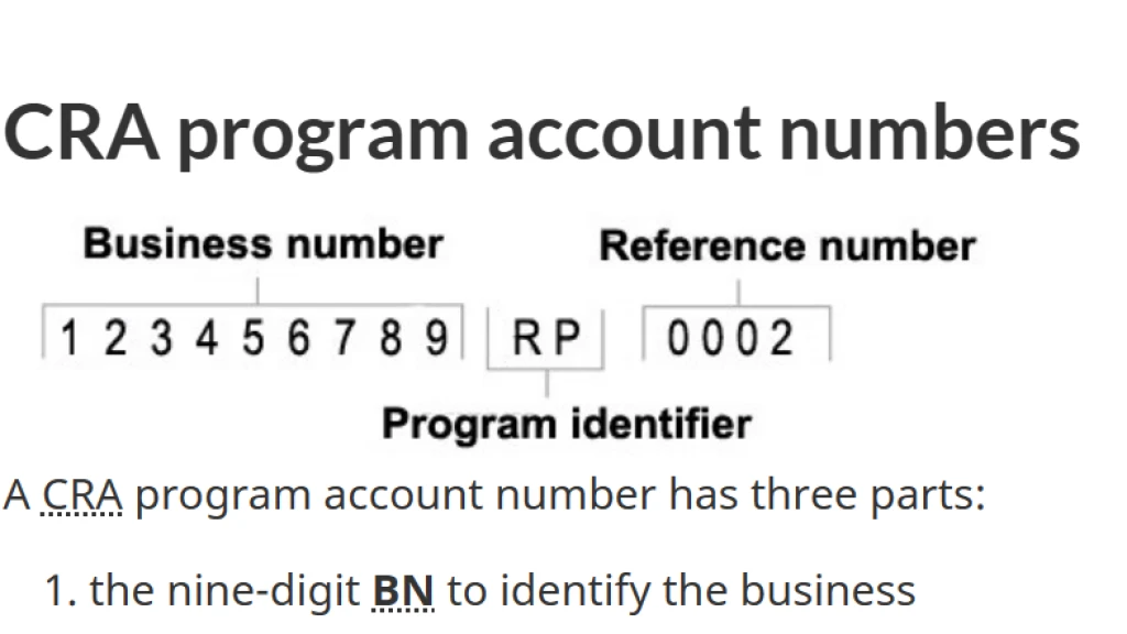 Navigating Business Numbers and CRA Program Accounts: A Comprehensive Guide